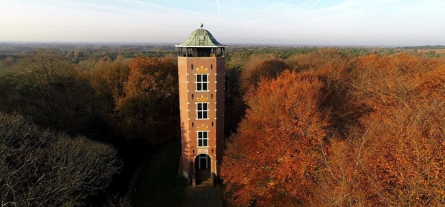 Luntersche Buurtbosch