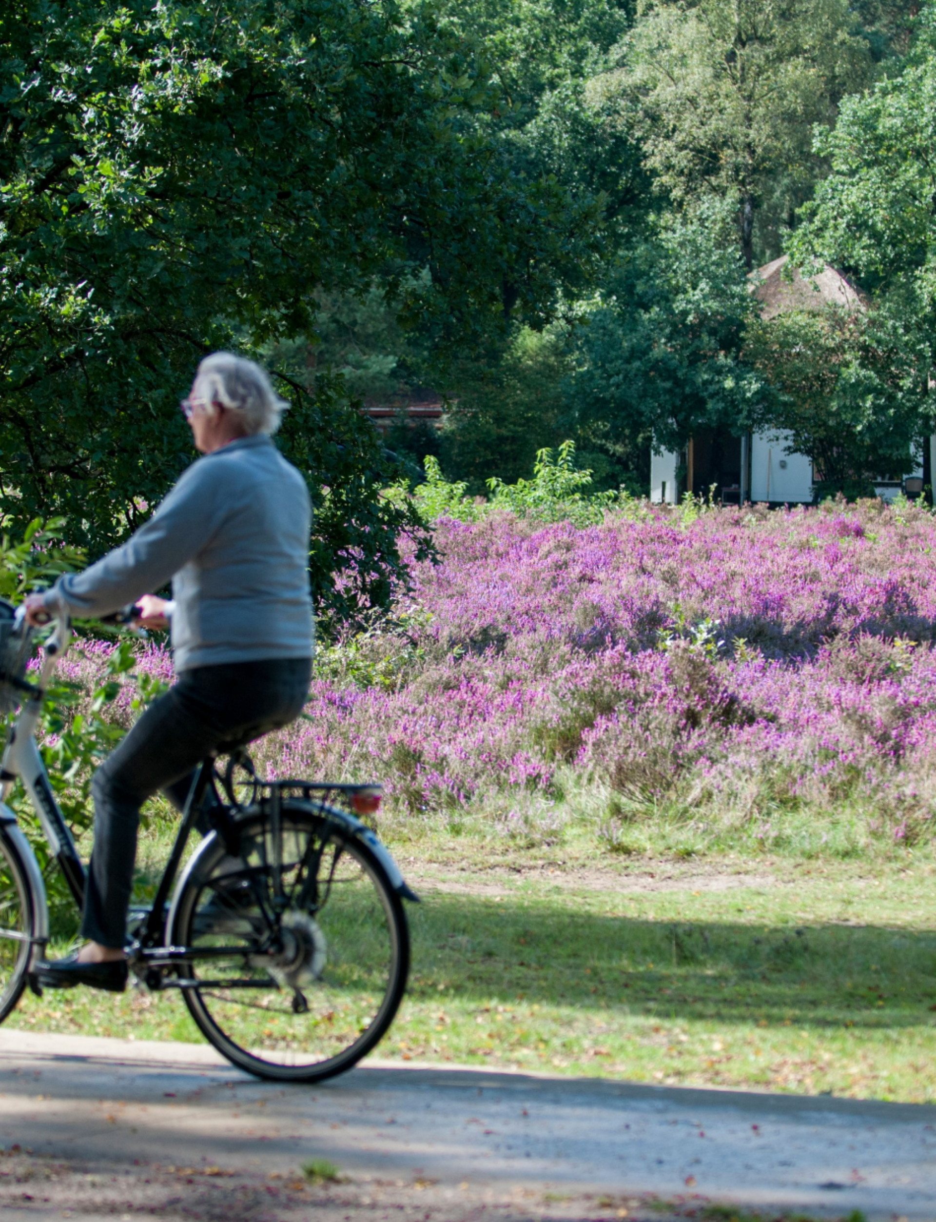 Fietsend door het Lorkenbos