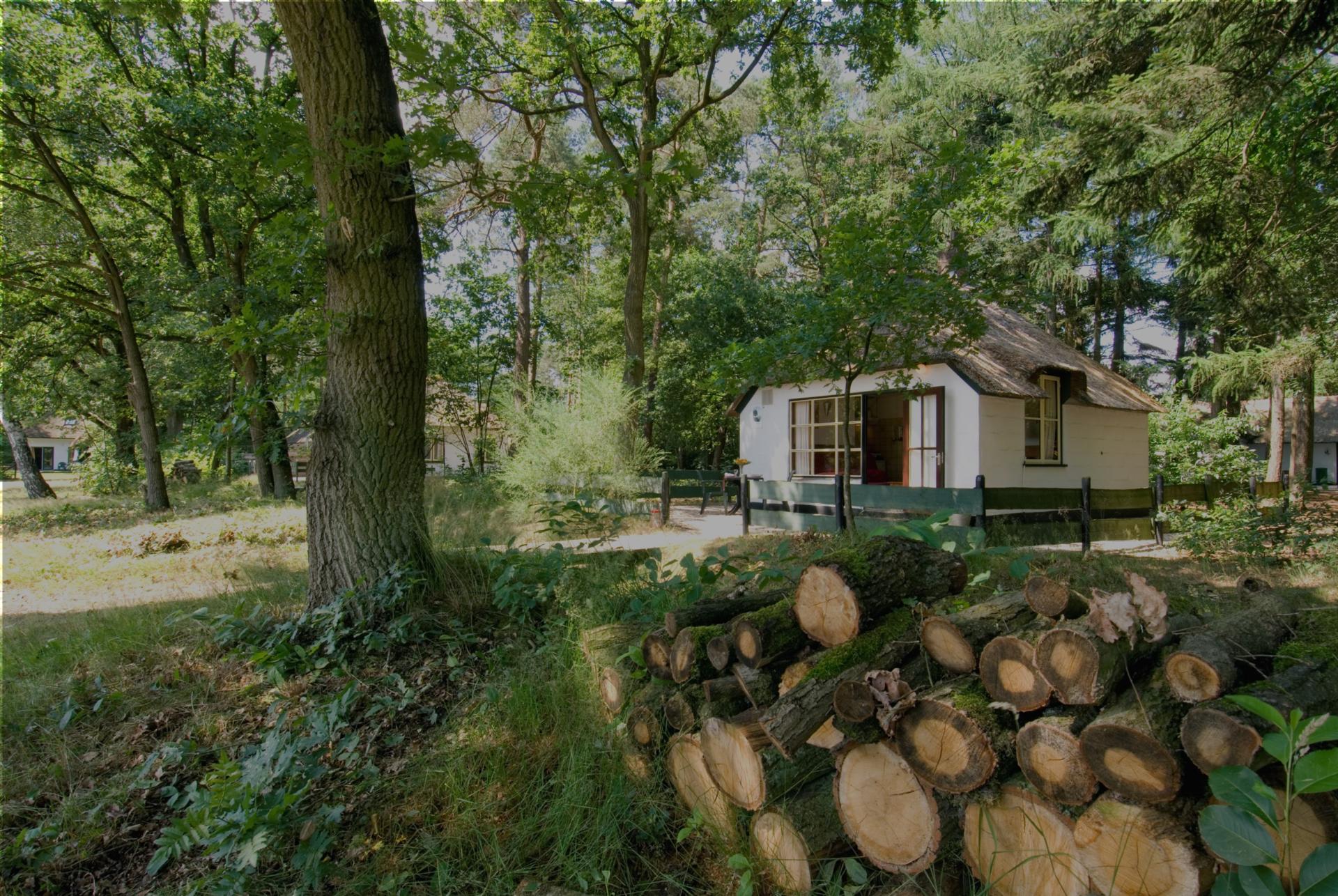 Bungalow De Berken