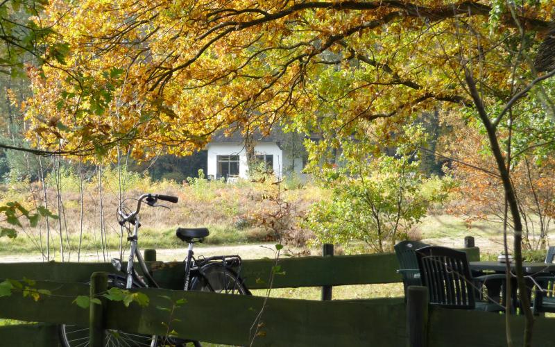 Herfst op de Veluwe - bungalow huren romantisch lorkenbos