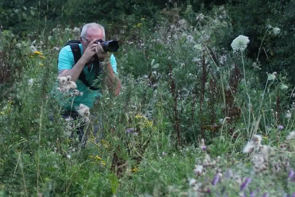 Foto ingezonden
