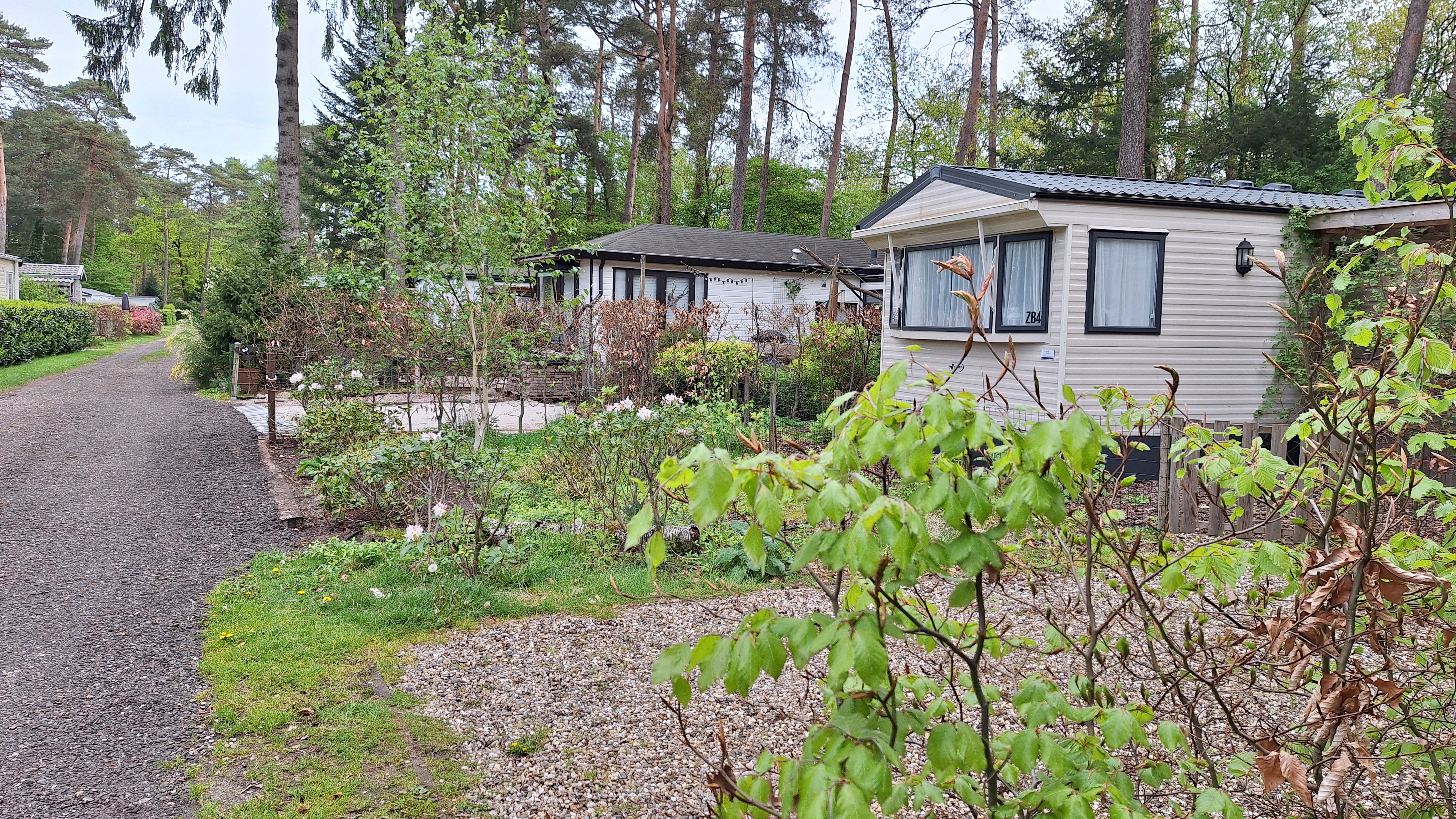 Zuid jaarplaats