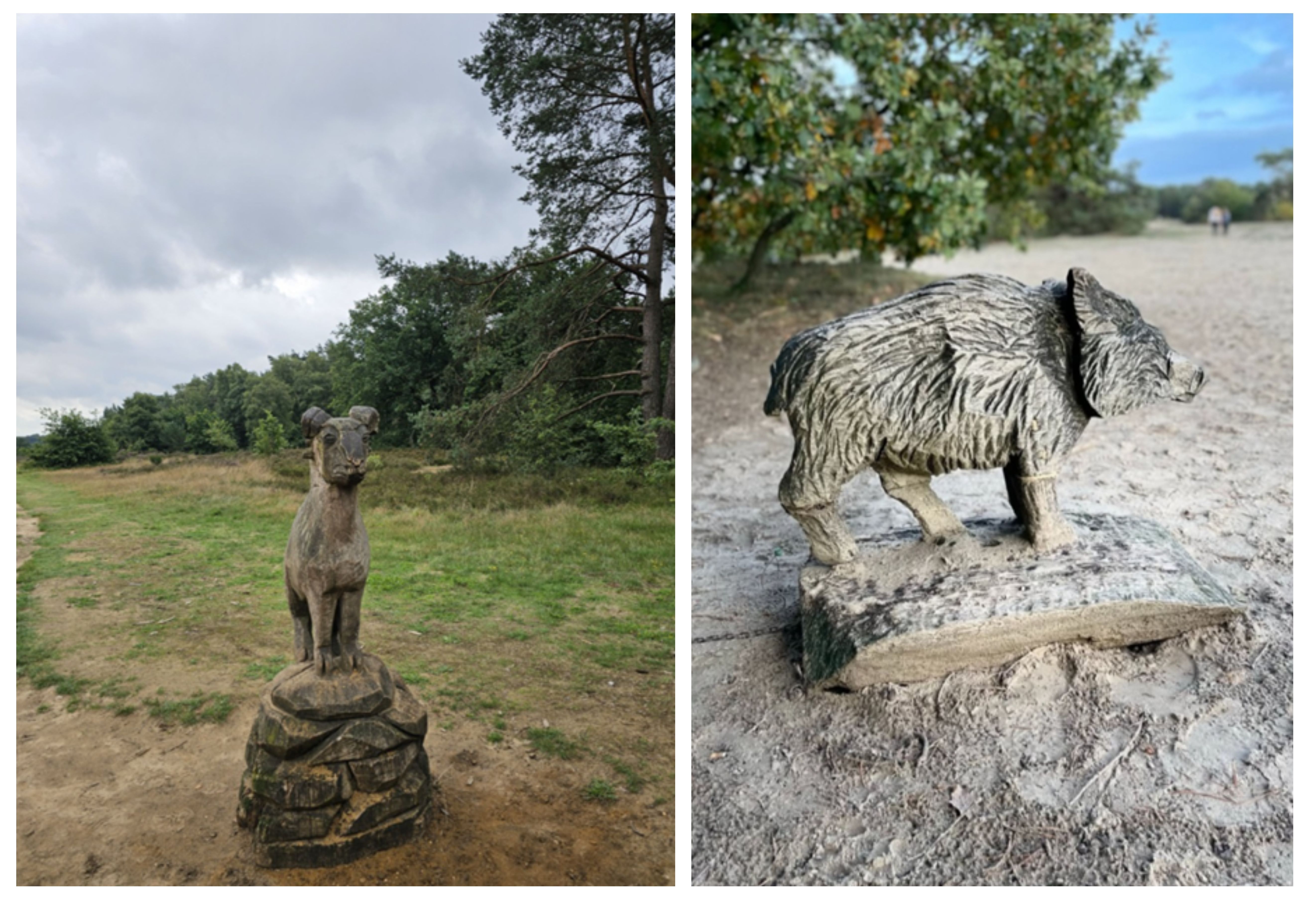 De grote 5 wandelroute - Houtsnijwerken Otterlo