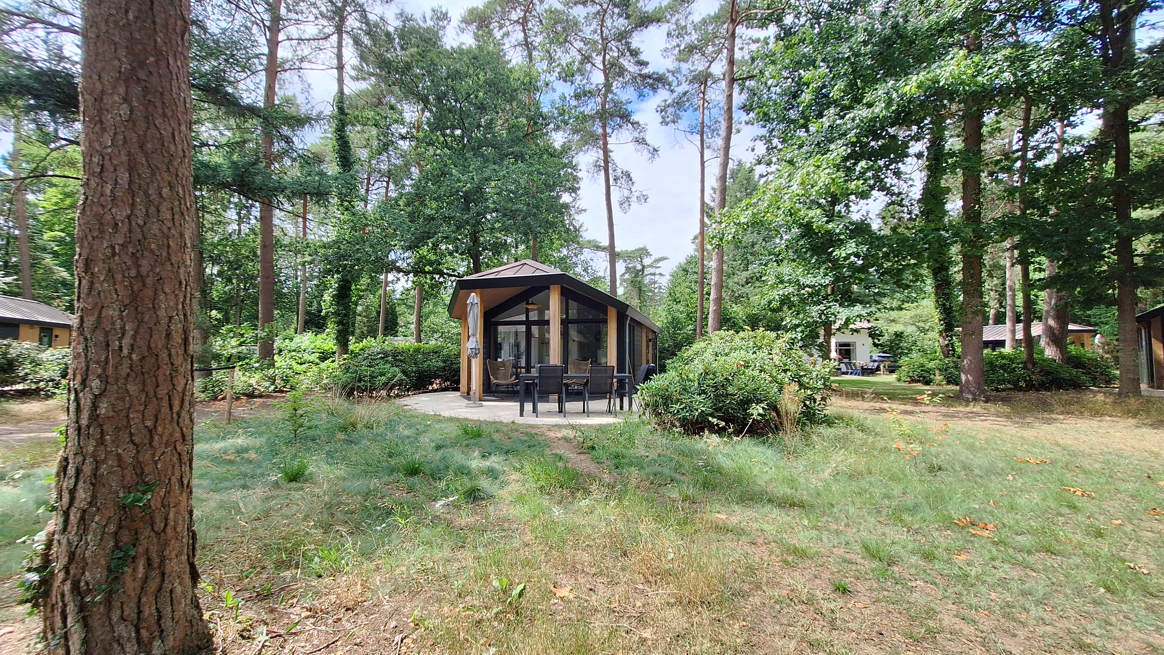 Hermelijn type Veluwe