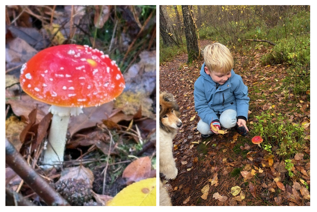 Kinderen kids spelen kabouter