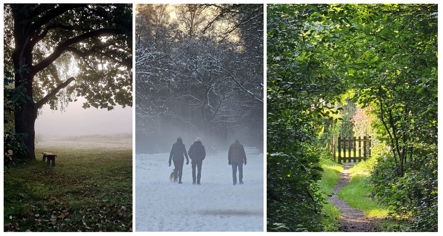 Lorkenbos blog nancy