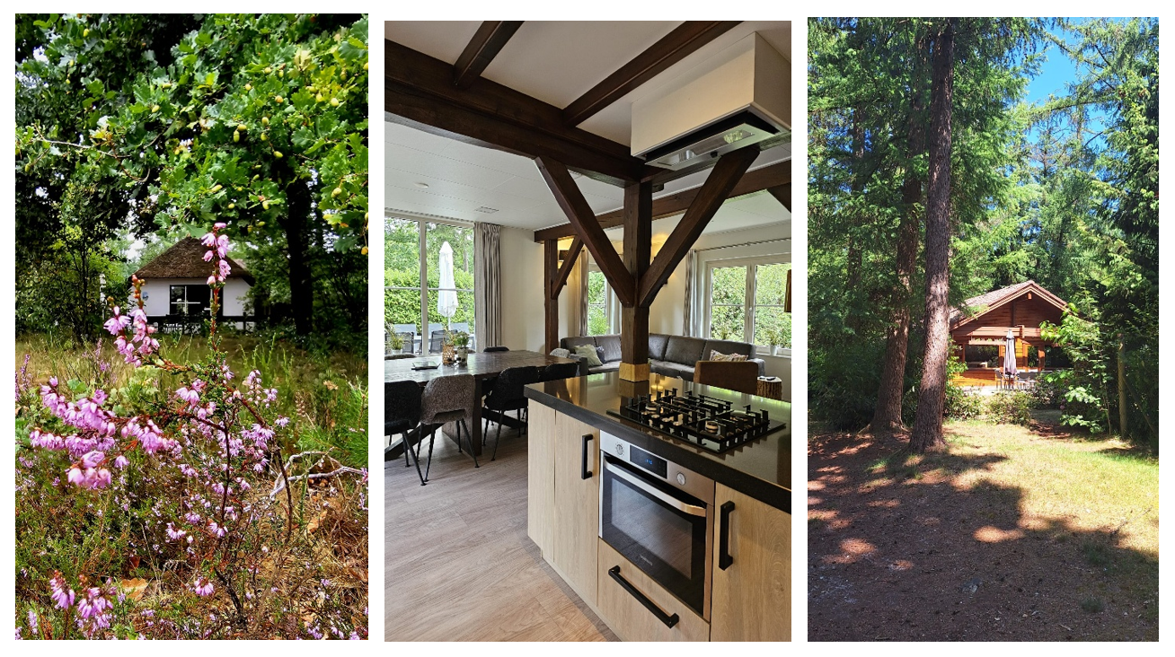 Lorkenbos blog nancy