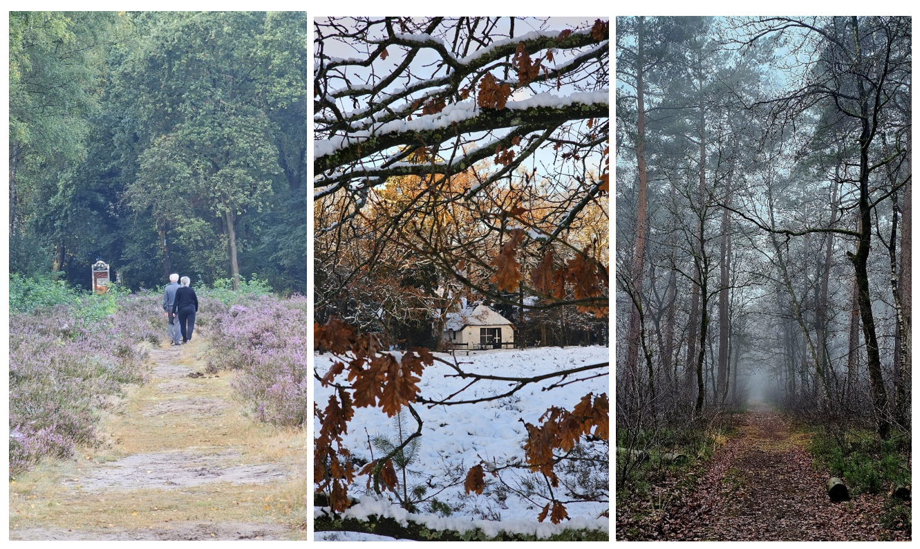 Lorkenbos blog nancy