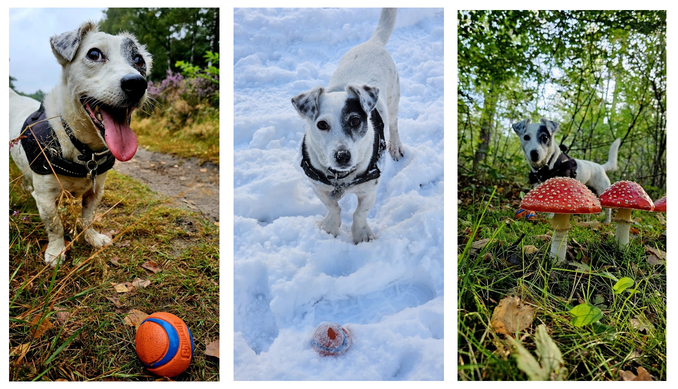 Lorkenbos blog nancy