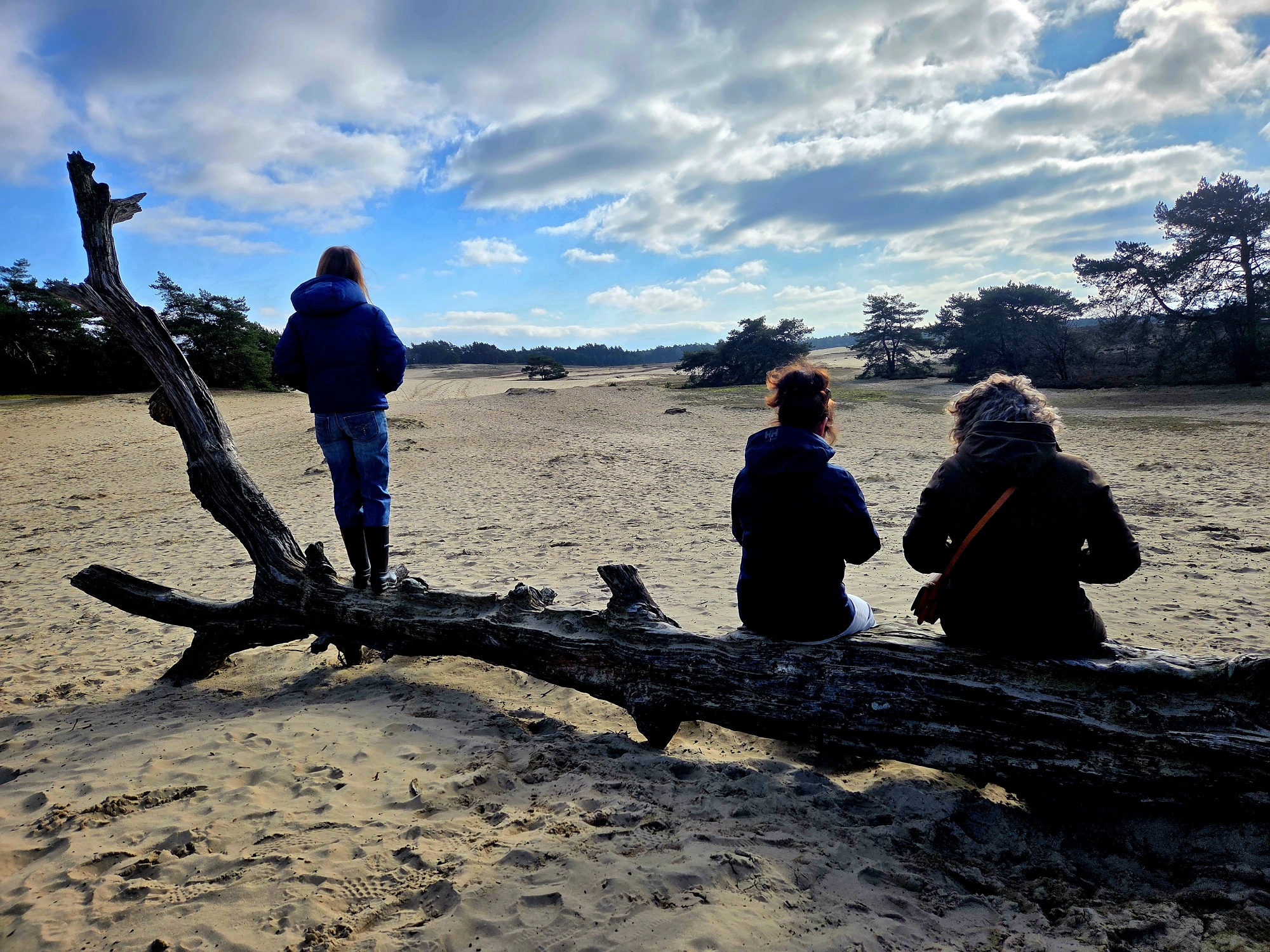 Zandverstuiving ingezonden