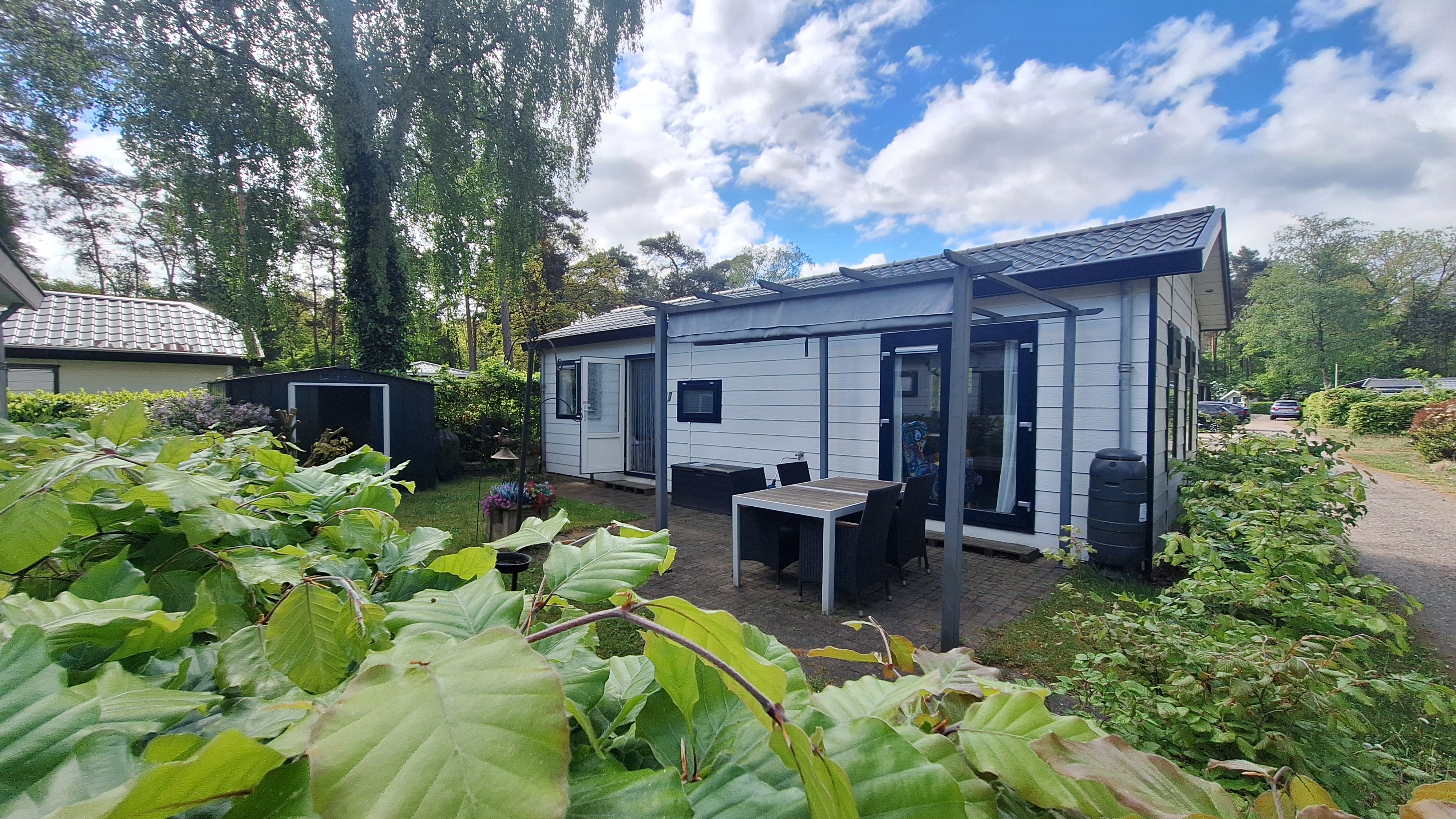 ZF1 te koop