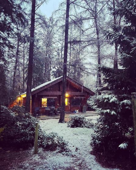 Finse bungalow verscholen in het bos Fin