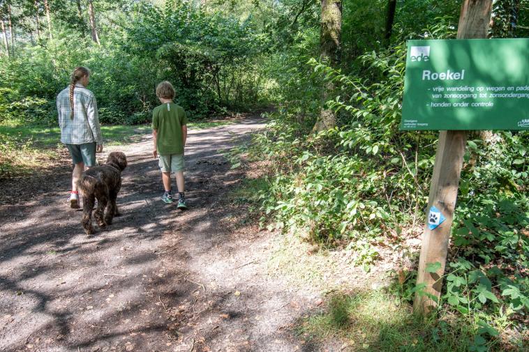 Hondenlosloopgebied rondom Het Lorkenbos