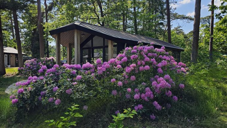 Bungalow Type Veluwe 4p