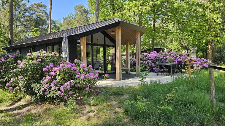 Bungalow Type Veluwe 4p