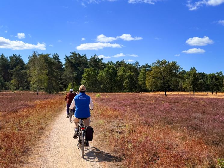 fiets heide