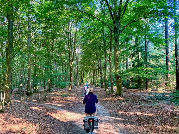 Fiets bos