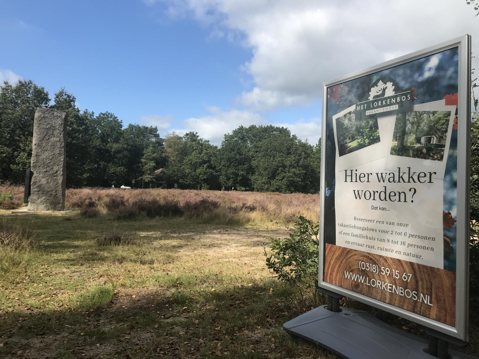 Hier wakker worden - Veluwe heideveld