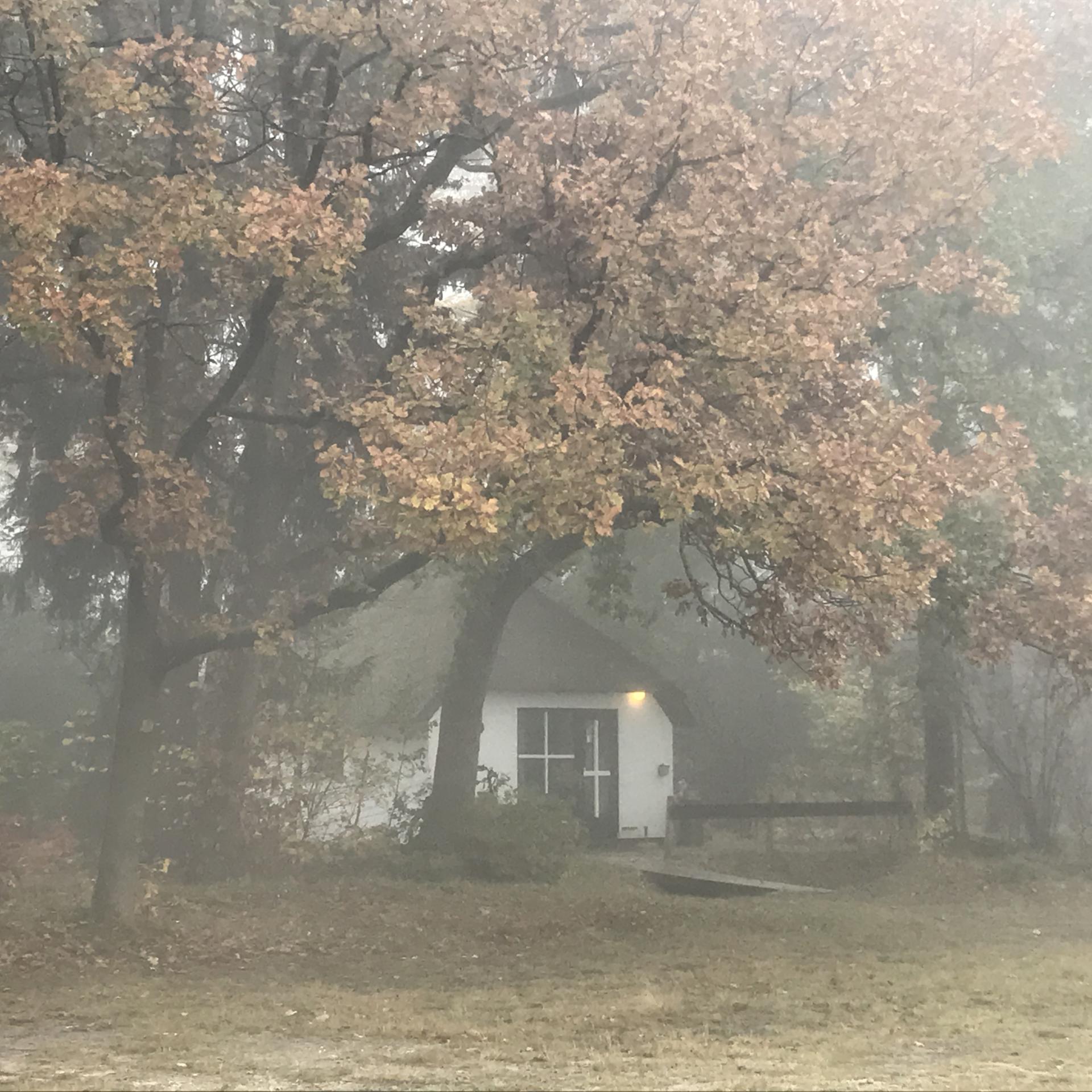 Bungalow de Berken ligt aan de rand van een heideveld, maar toch in de halfschaduw van grote eikenbomen.