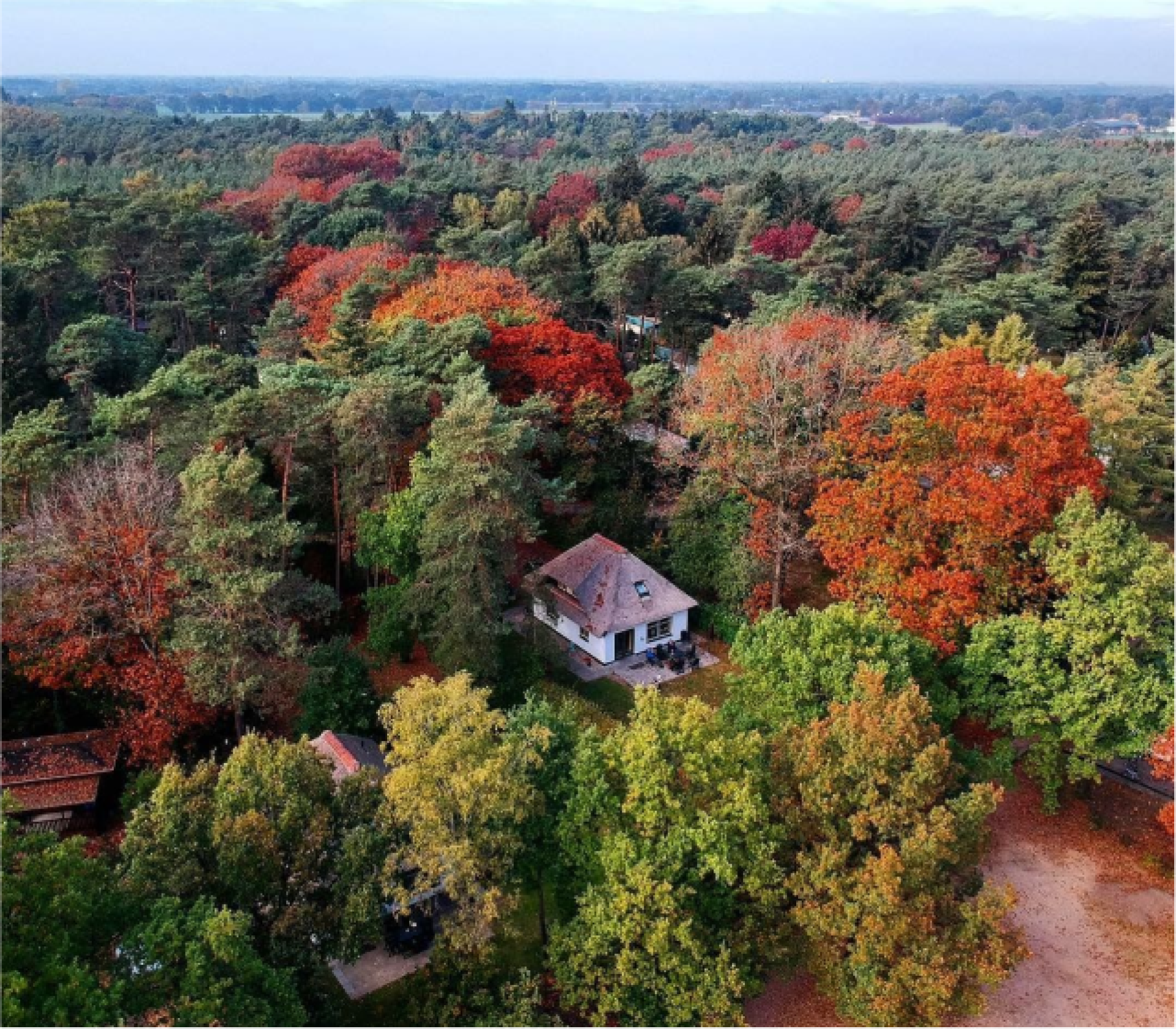 Luchtfoto het lorkenbos