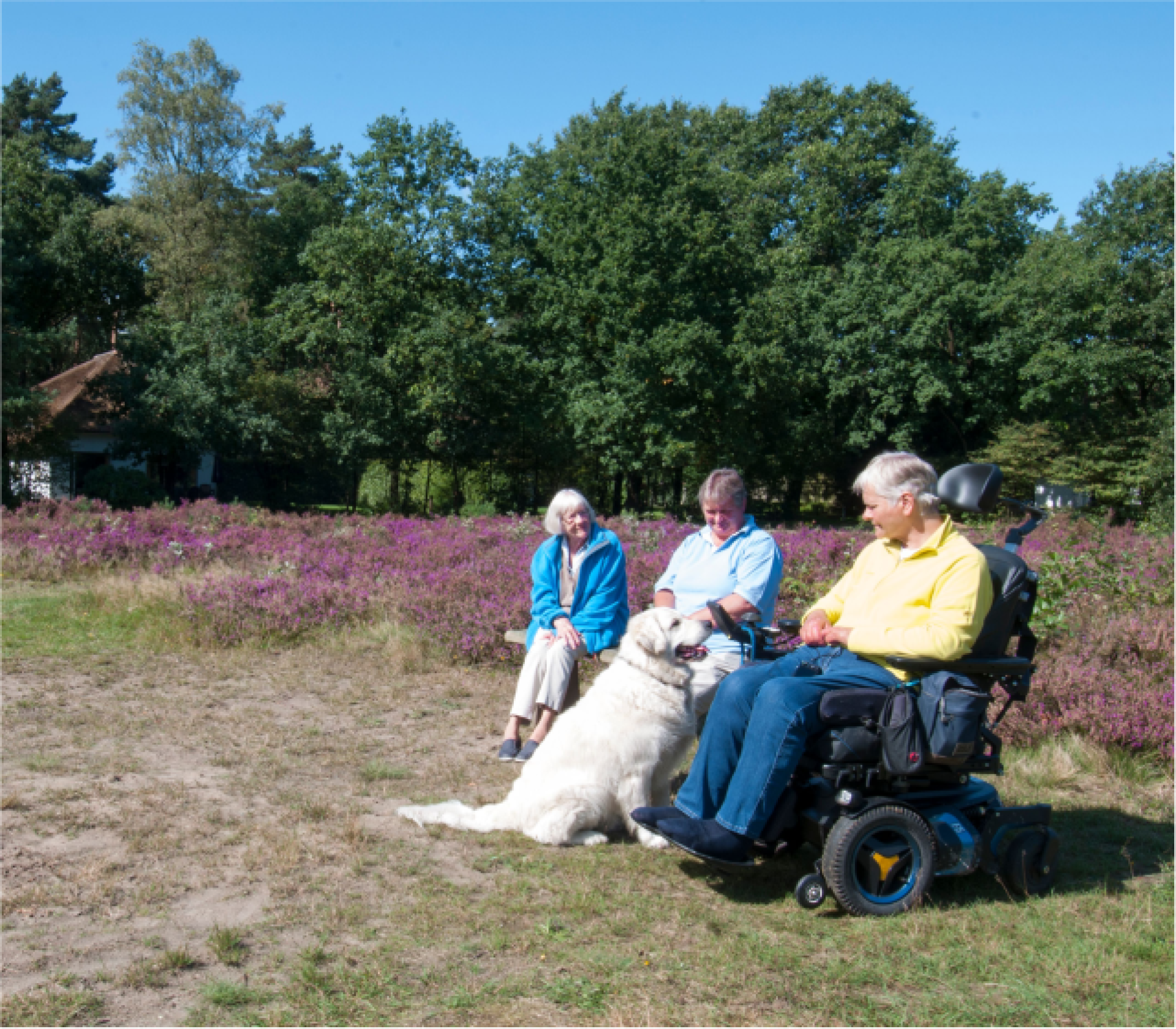 Rolstoelgebruikers met hond