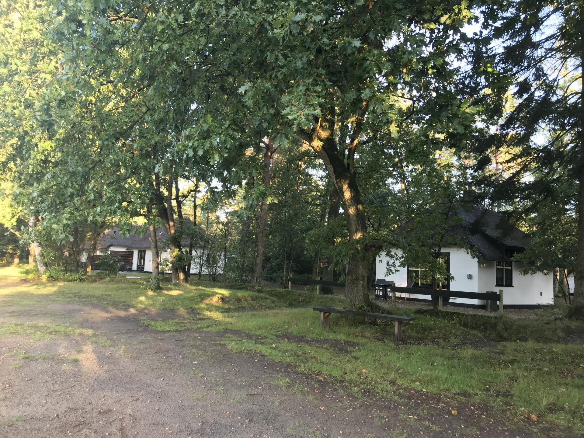 Wij hebben drie bungalows van type Berken. Ze liggen op ruime afstand van elkaar aan de heiderand. 