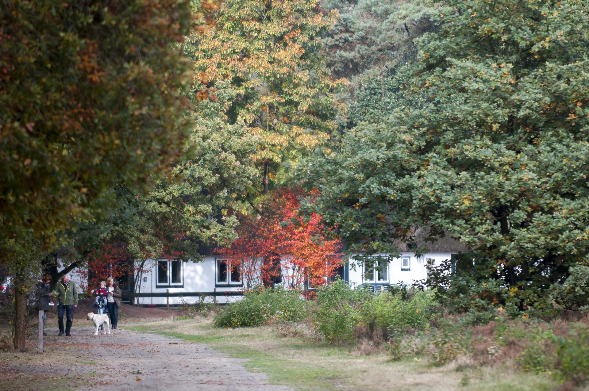 Herfst natuur 