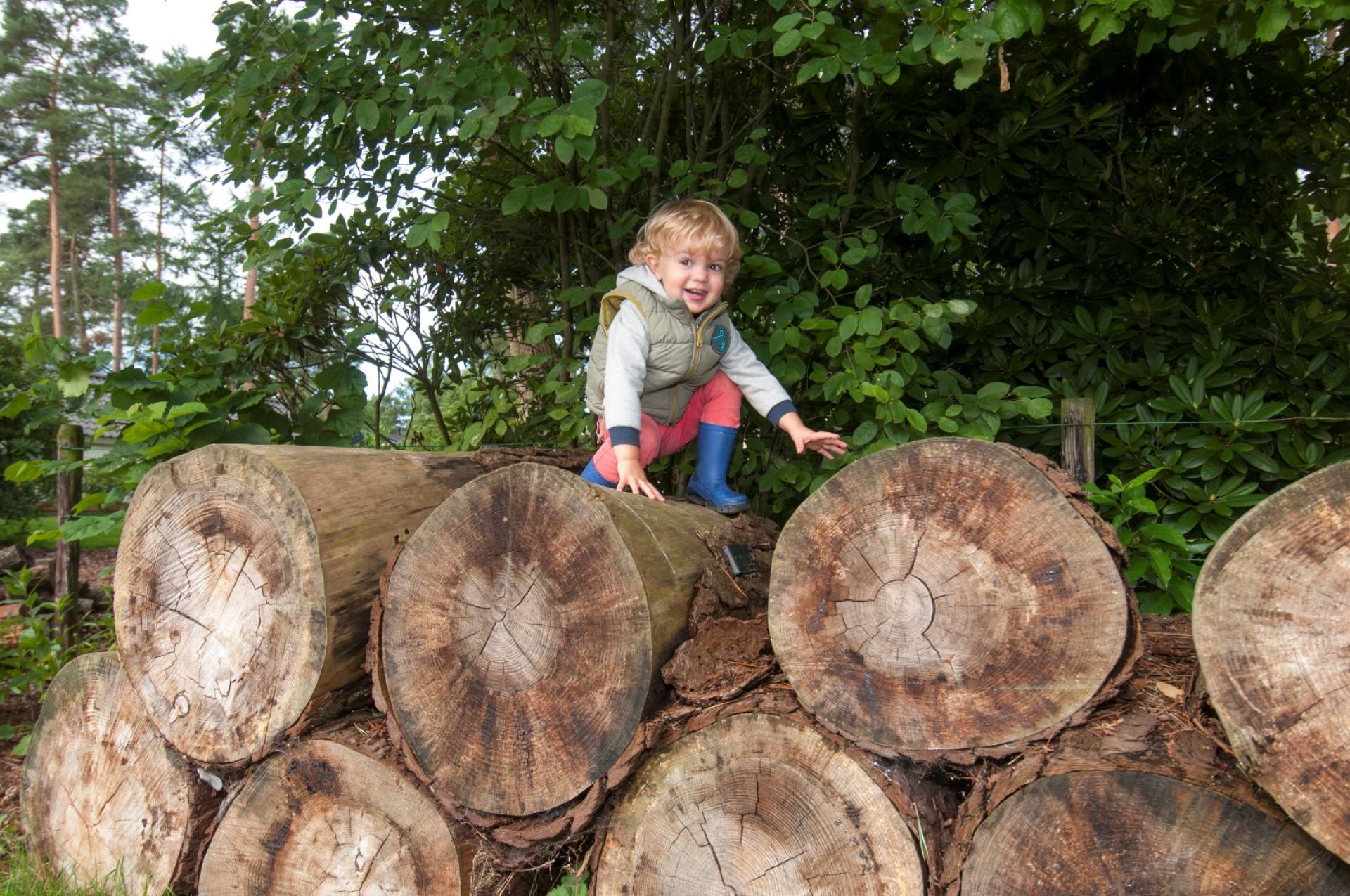 Kind boomstam natuur kids