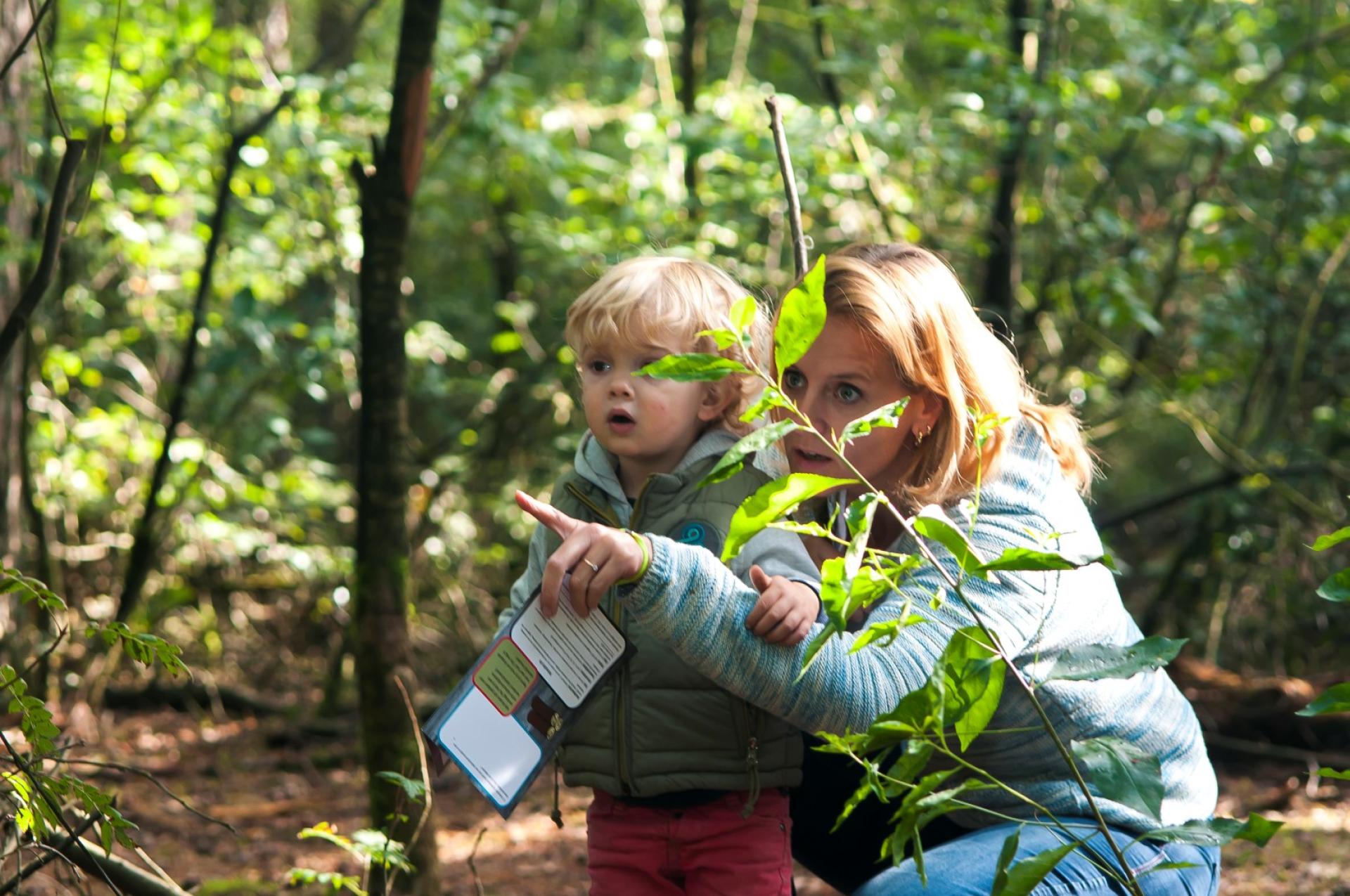 Kind ontdekken natuur samen
