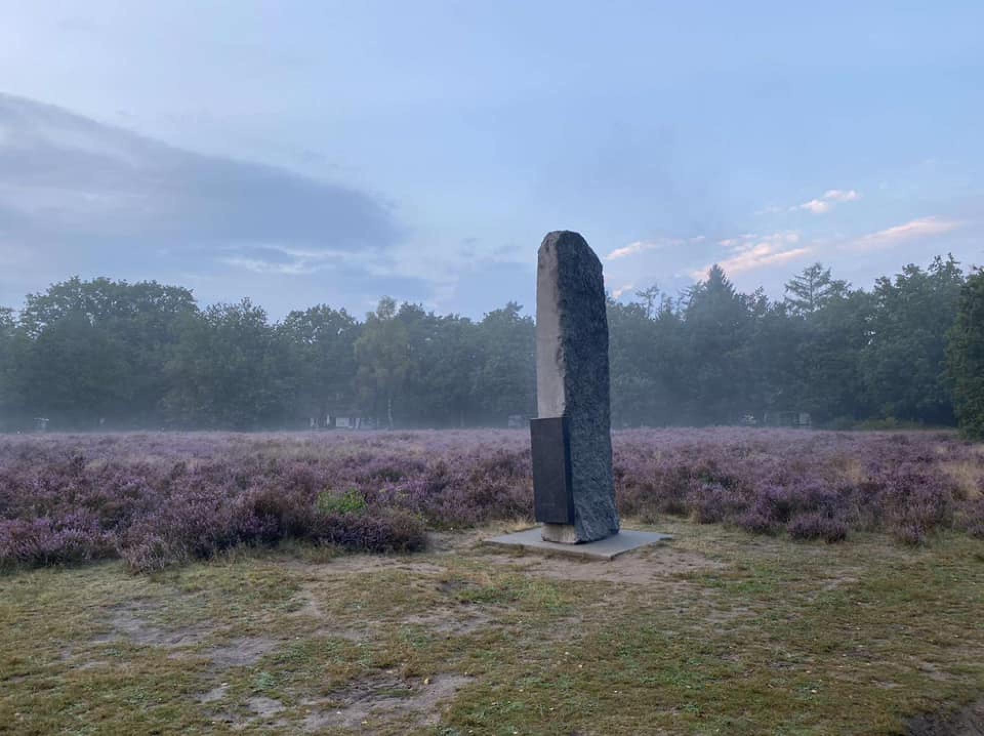 dauwe op de heide omgeving natuur