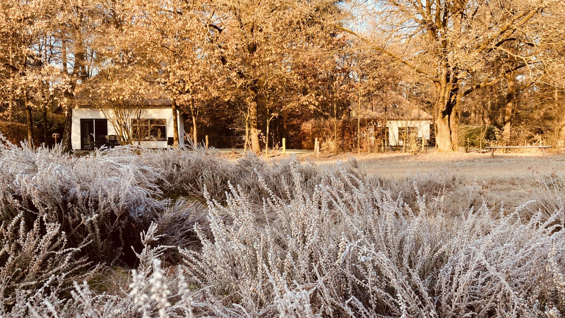Winter sneeuw bungalow berken Veluwe