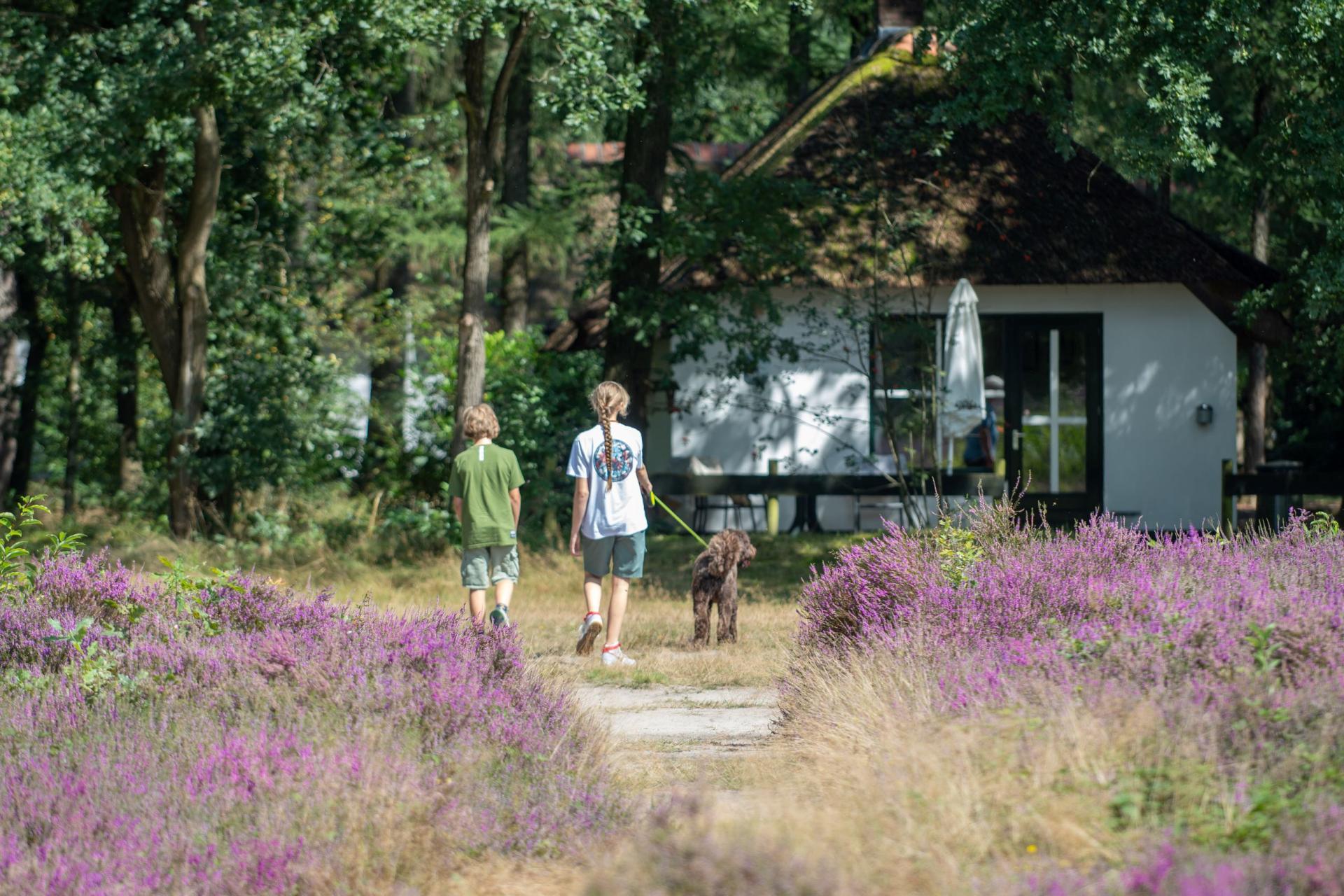 Type Berken Heide