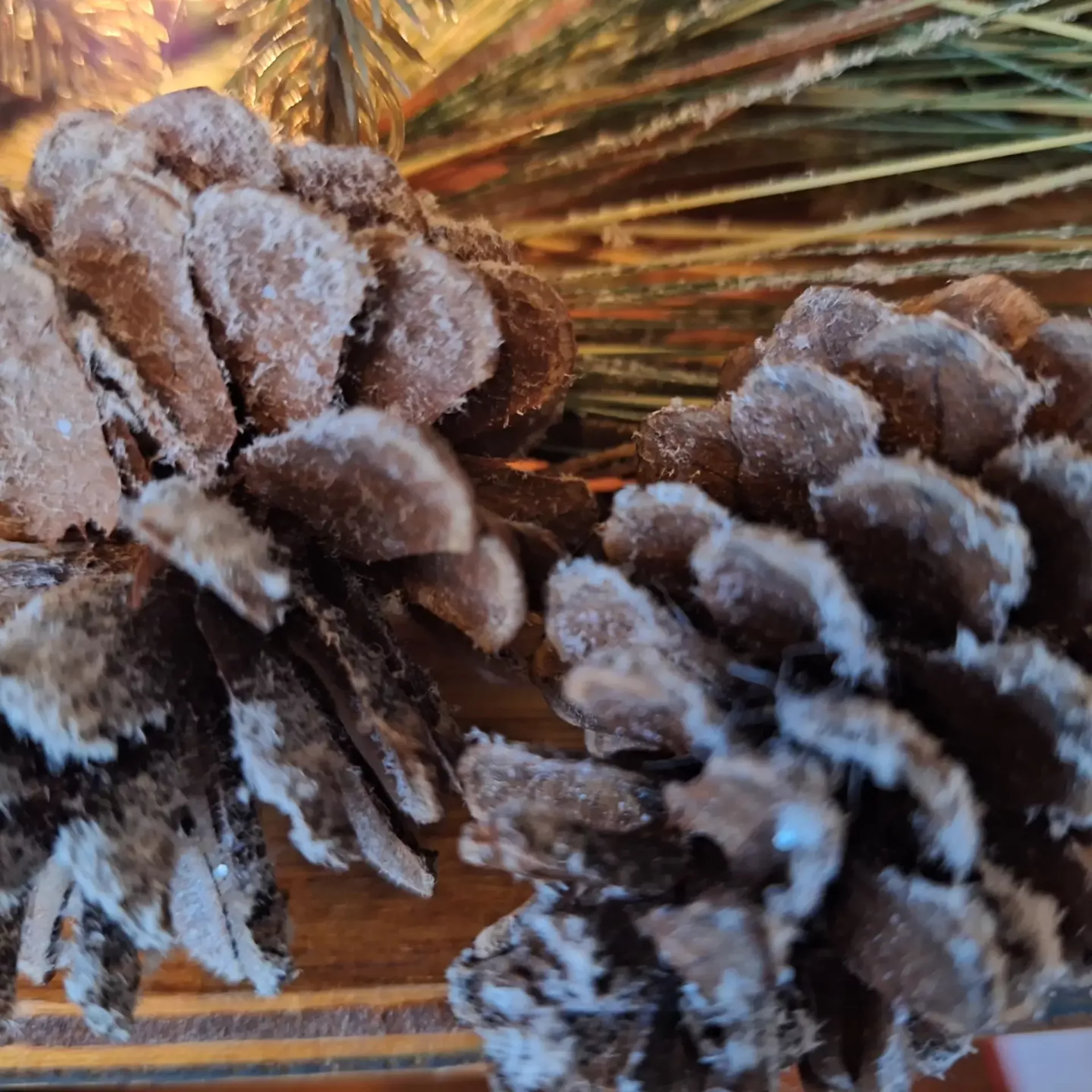 Kerst winter
