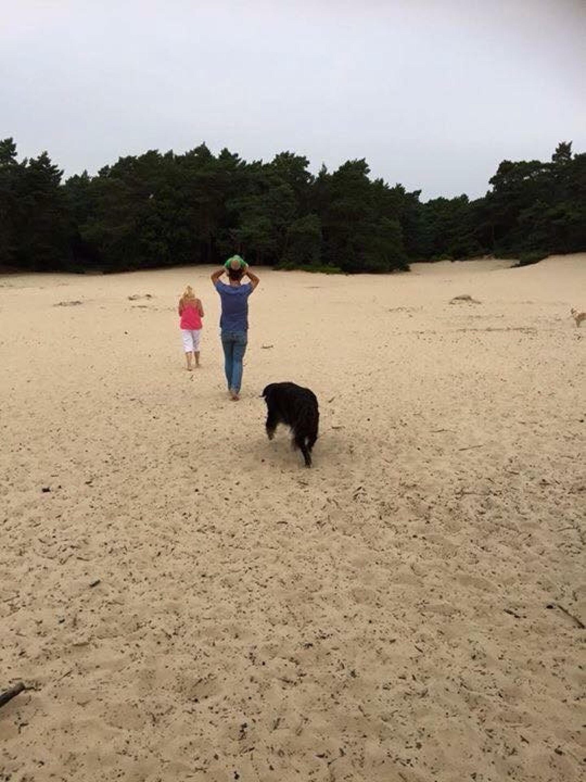 Zandverstuiving ingezonden