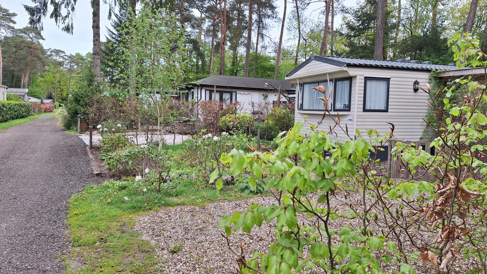 Zuid jaarplaats