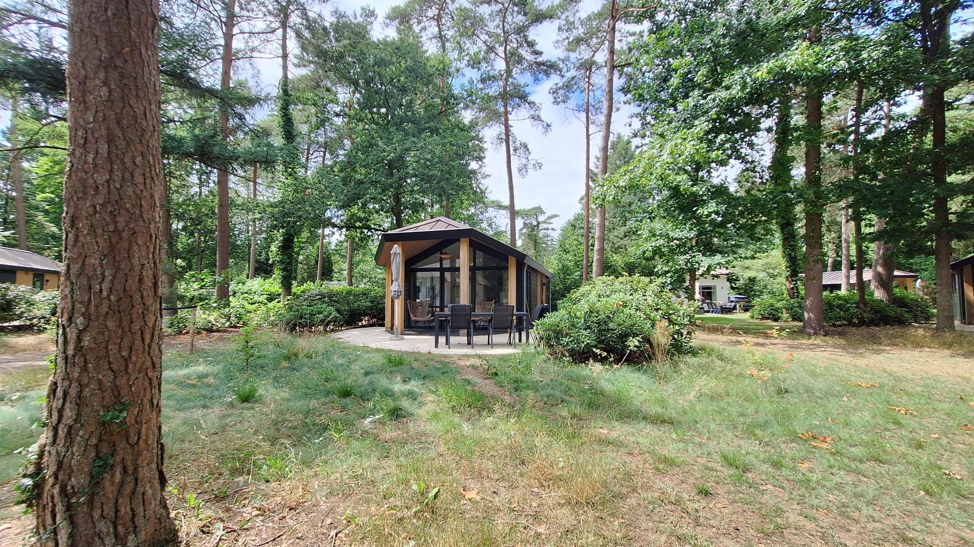 Hermelijn type Veluwe