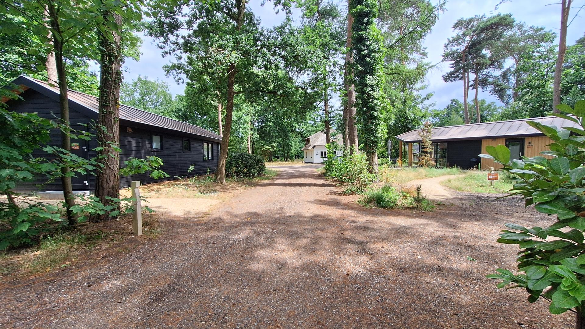 Hermelijn type Veluwe