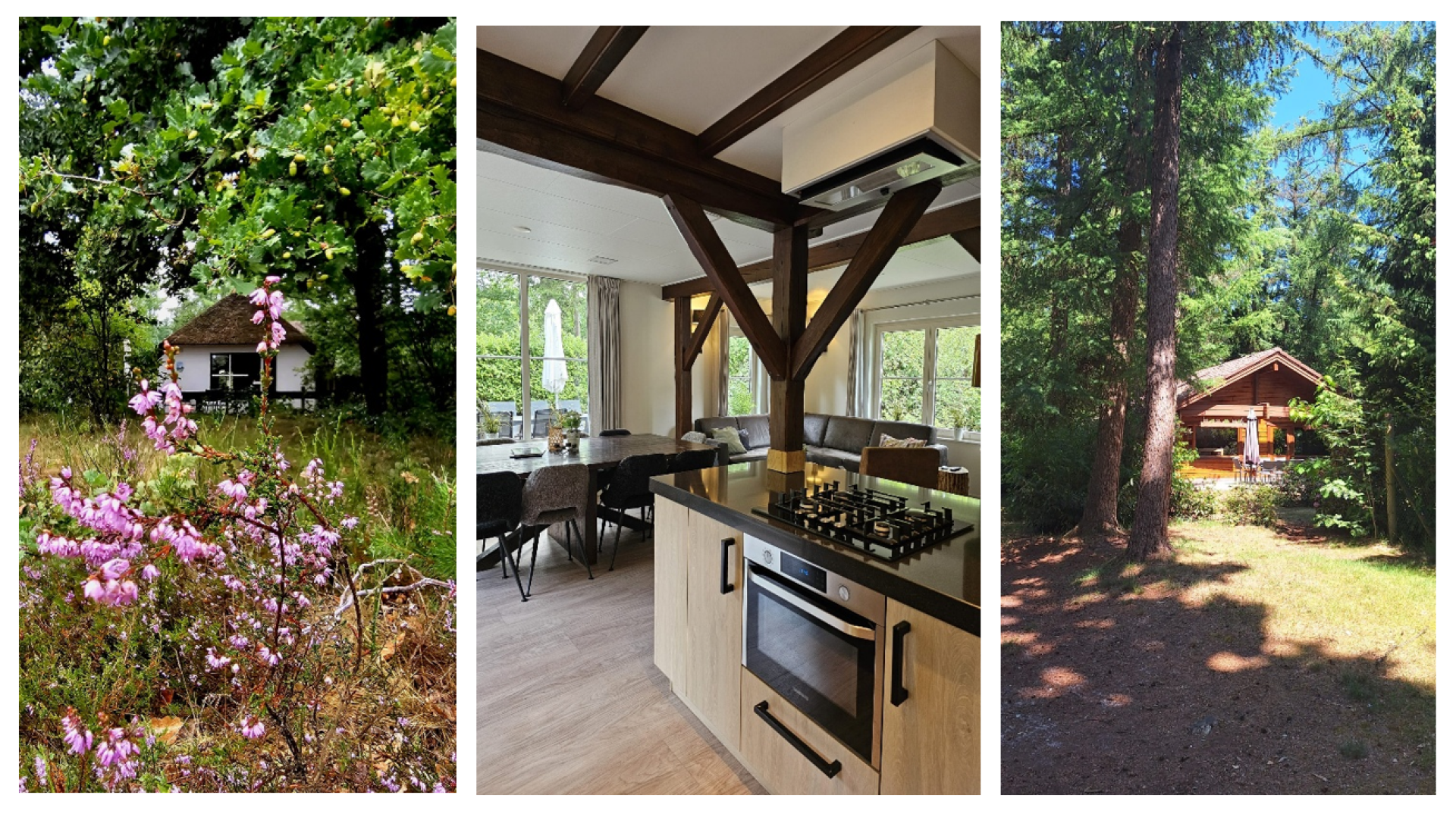 Lorkenbos blog nancy