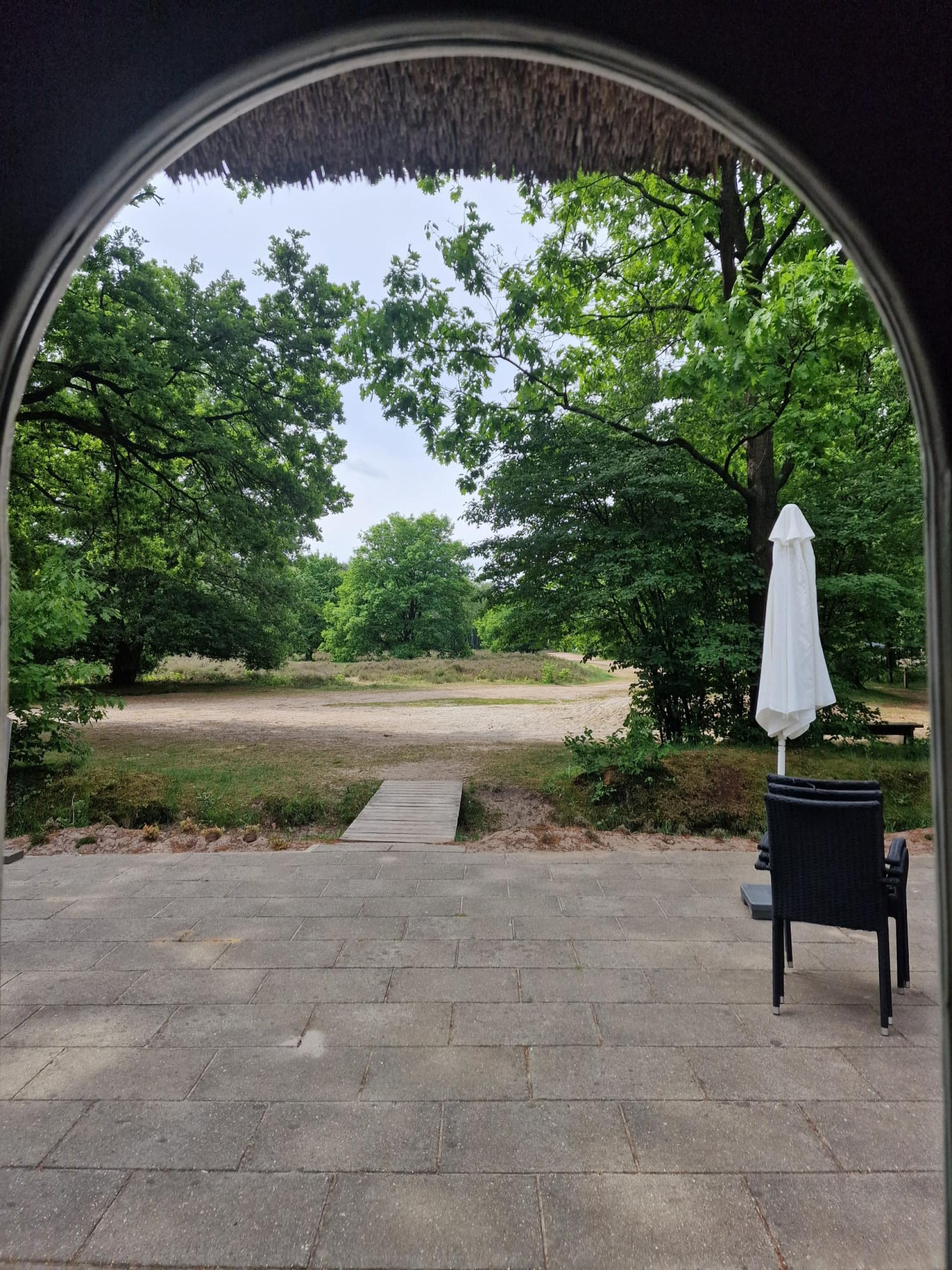 Uitzicht heide vanuit de Spar