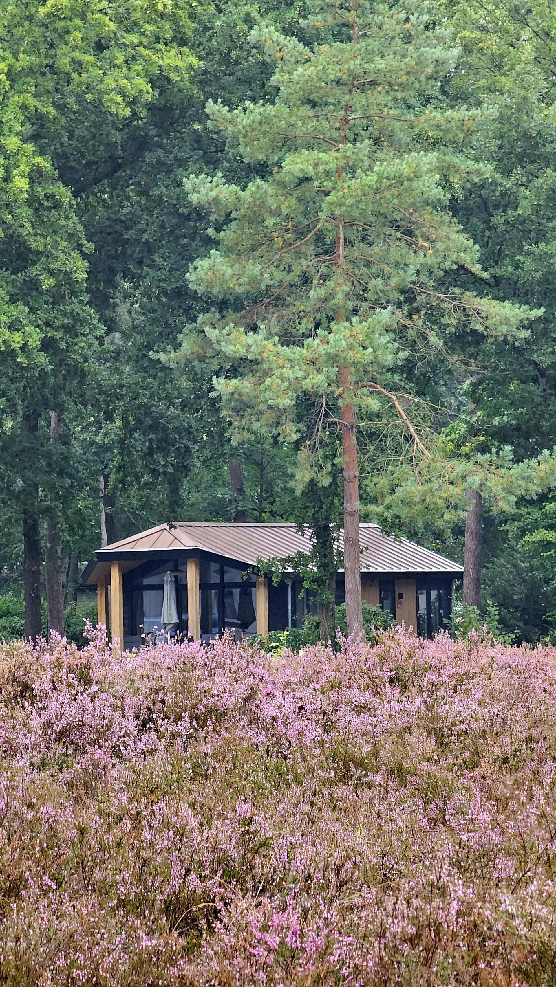 Lorkenbos algemeen sfeer