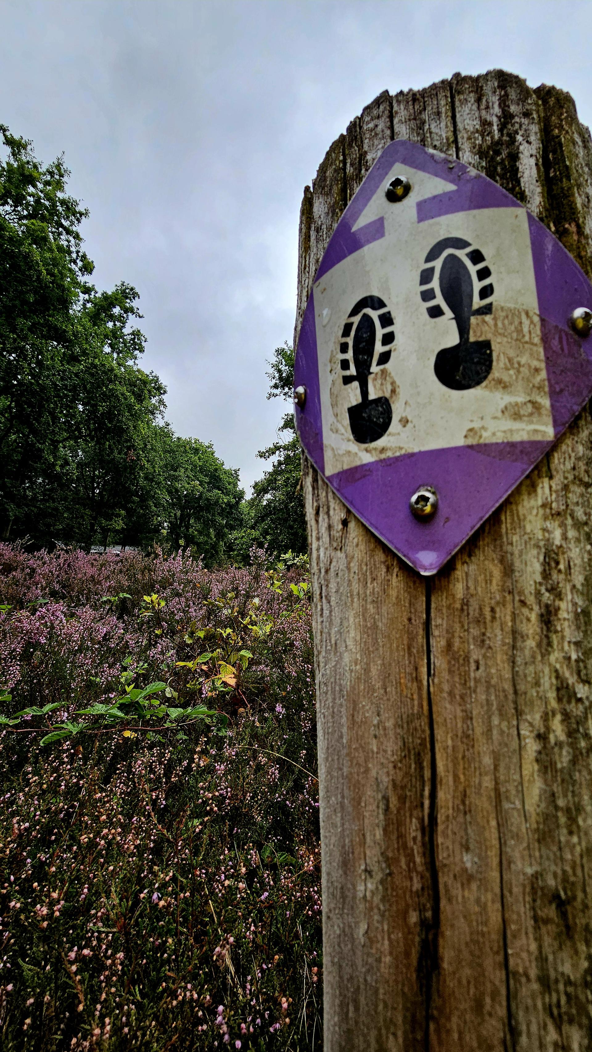 Lorkenbos algemeen sfeer wandelen