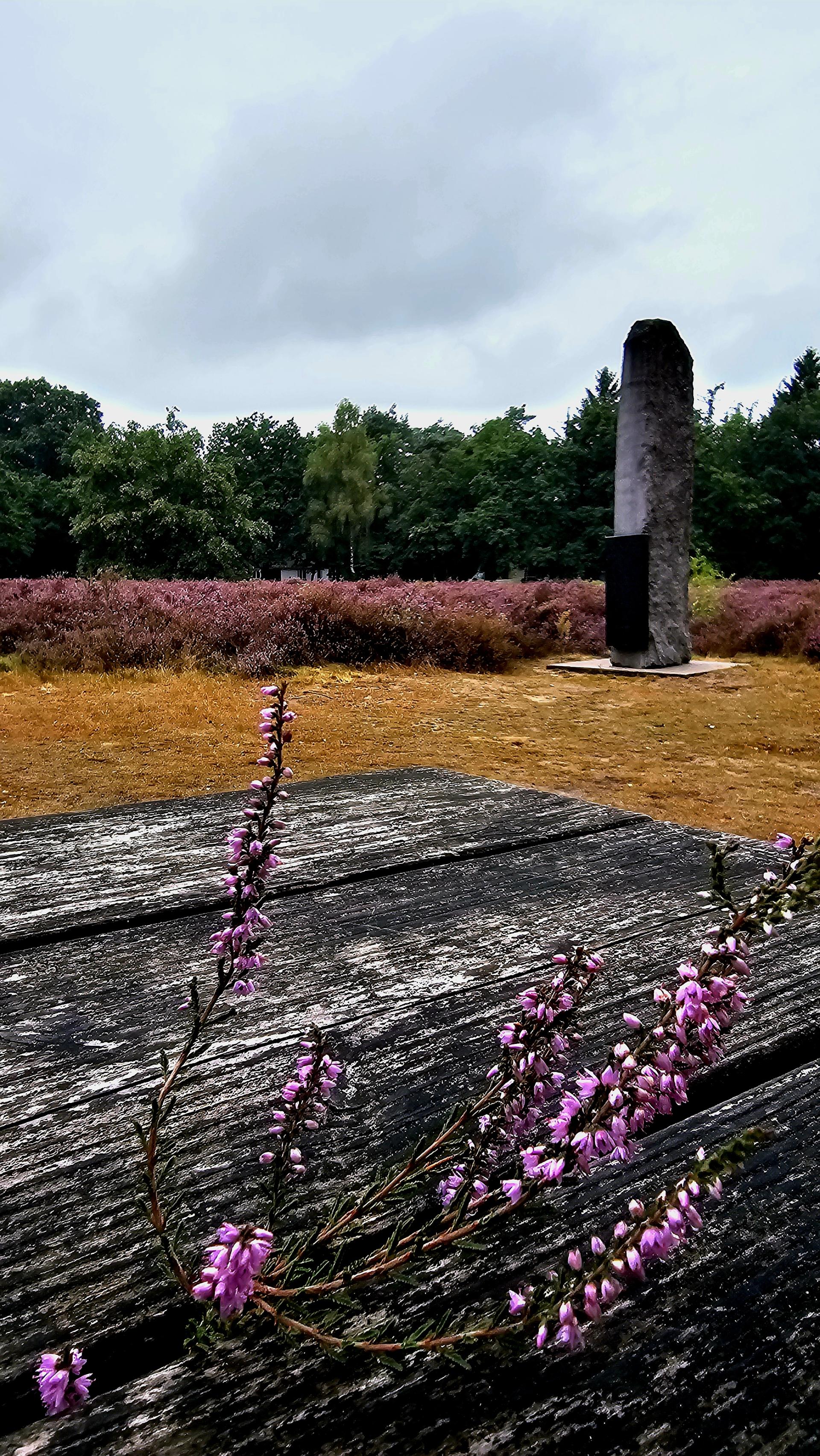 Lorkenbos algemeen sfeer