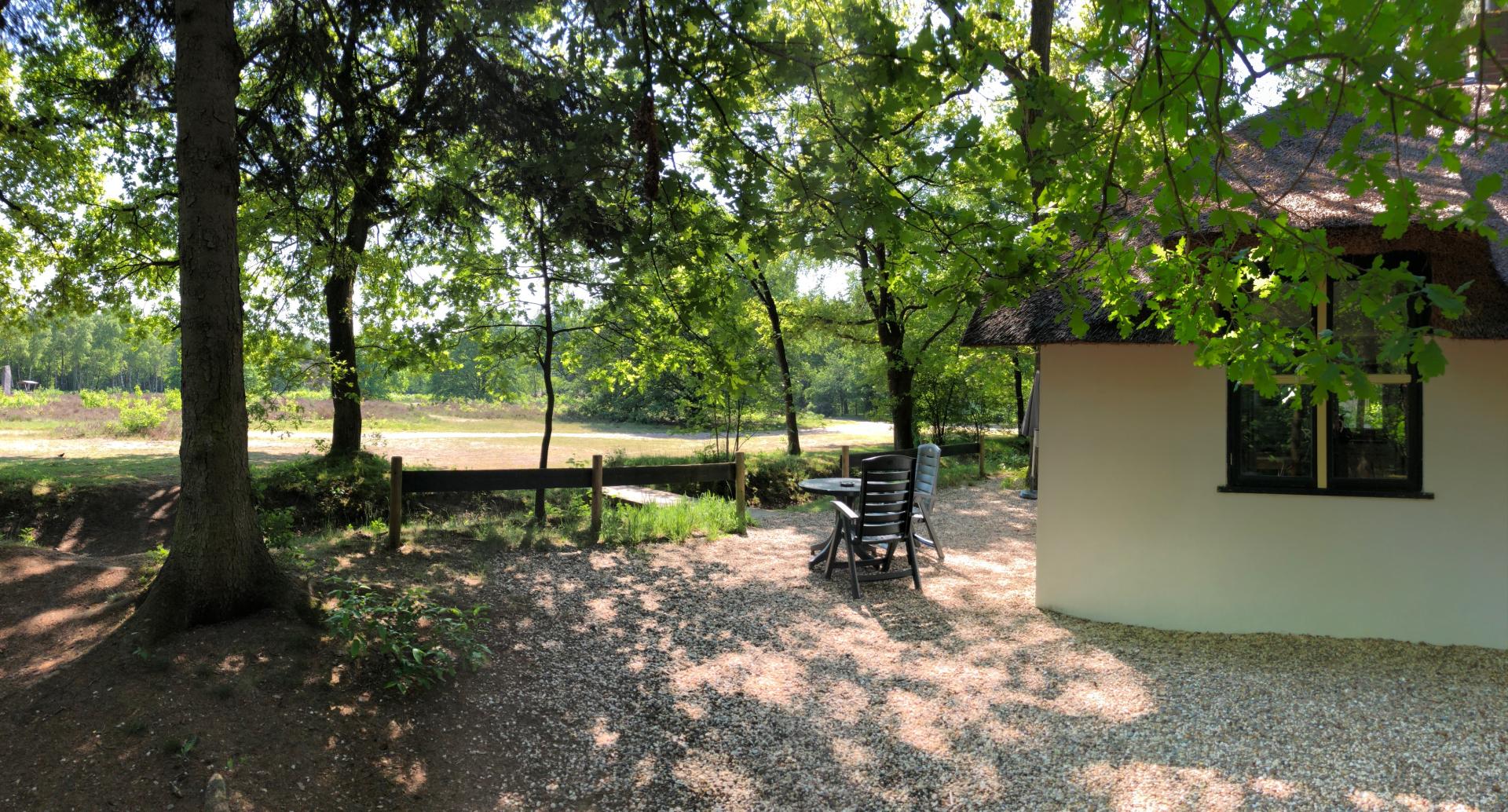 Berken Lorkenbos algemeen sfeer