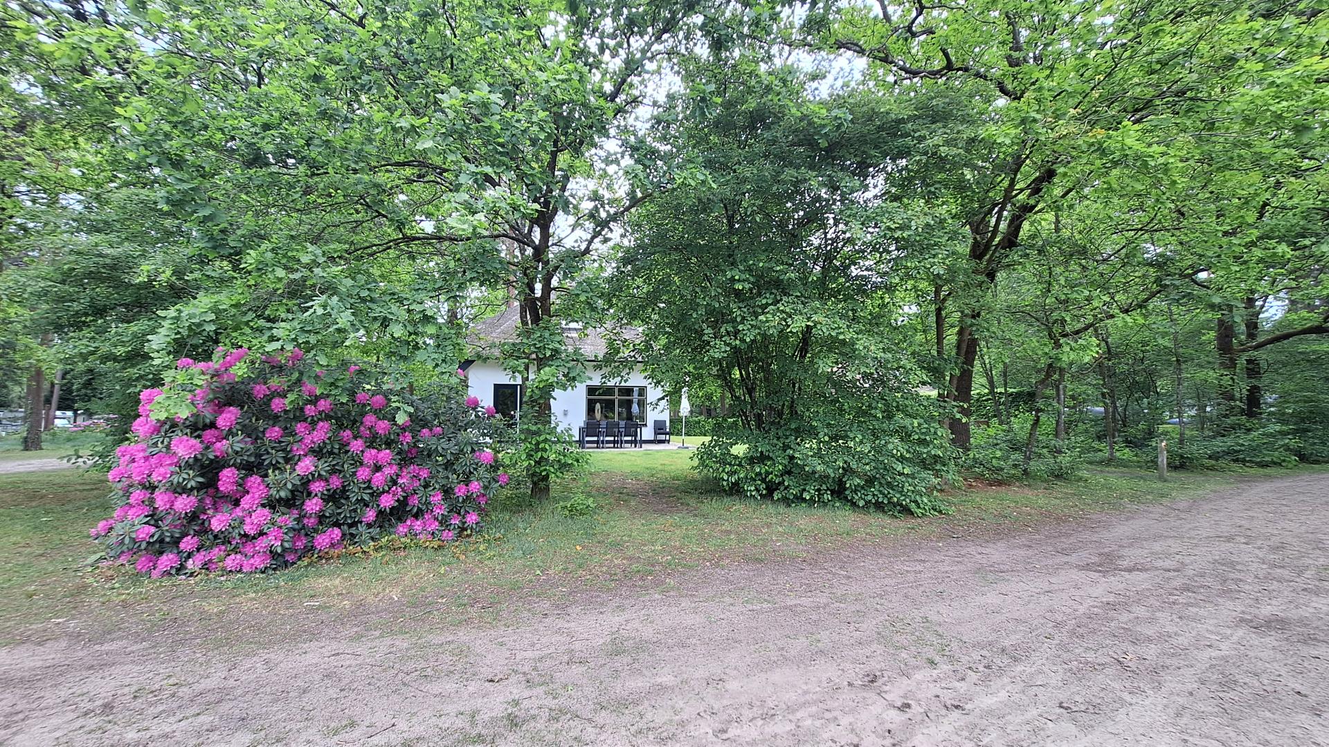 Beekje lente