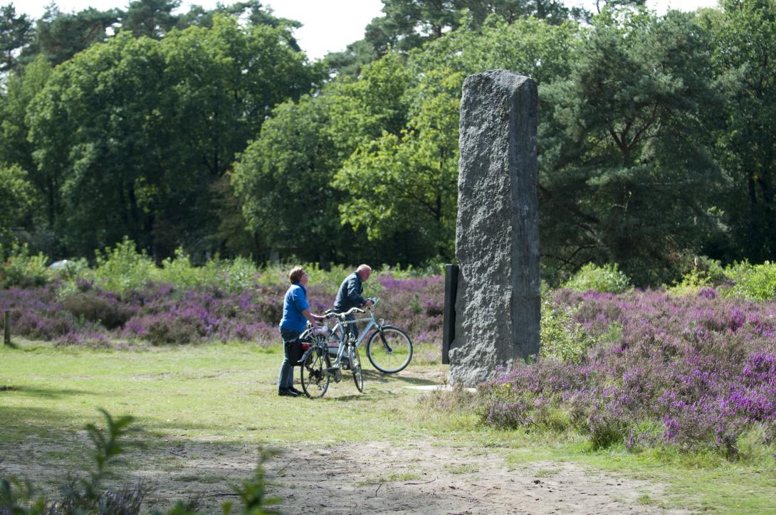 Heideveld omgeving natuur fietsen