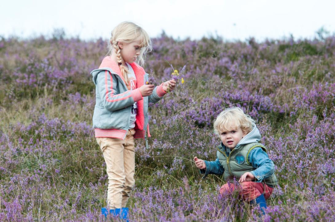 Kind kids heide paars