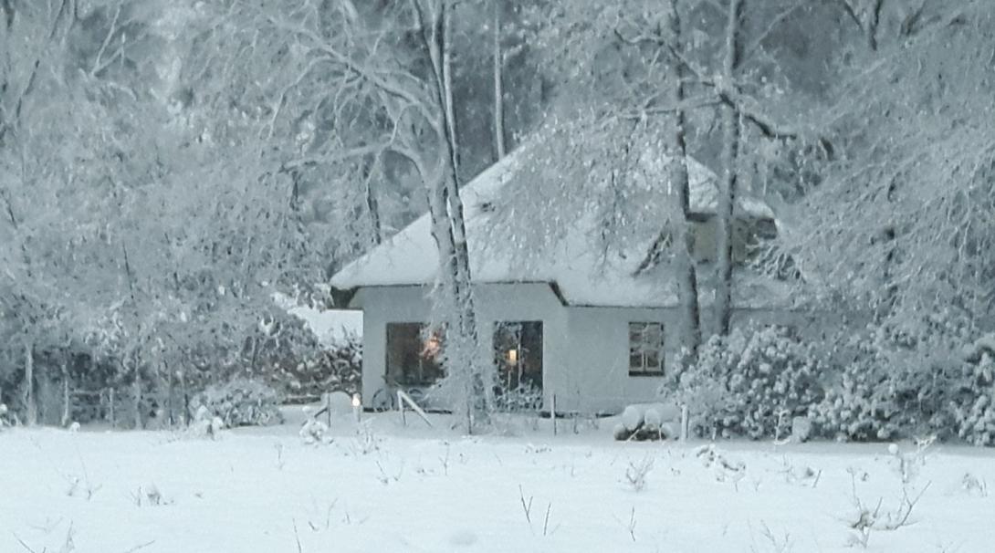 Beekje winter