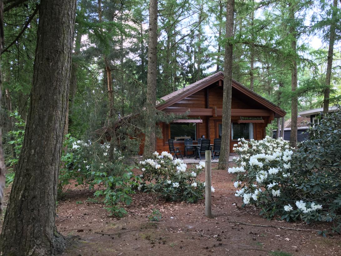 Bungalow de fin lente