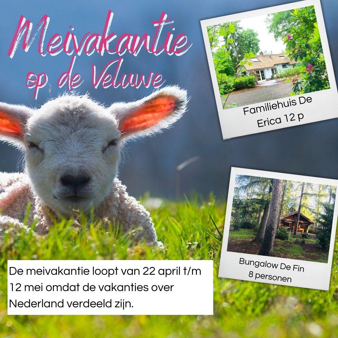 Meivakantie
