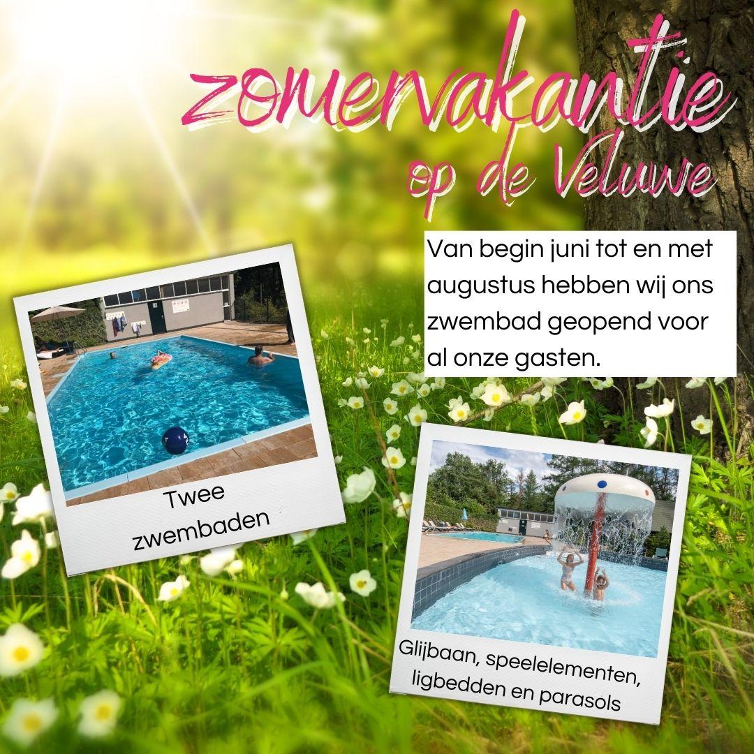 Zomer op de Veluwe